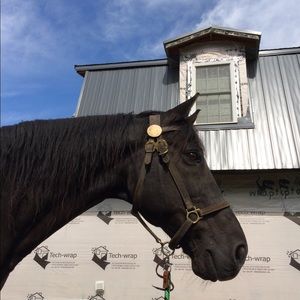 Meet your Posher, Denise